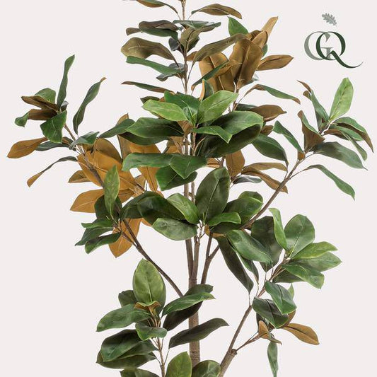Kunstpflanze - Magnolia Grandiflora - 180 cm 