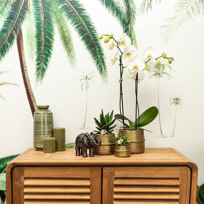 Blumentopf Rille – Gold – Ø6cm – Kleiner Keramik-Ziertopf mit Rillenstruktur – Mattes Finish – Mini-Übertopf für Orchideen & Sukkulenten 
