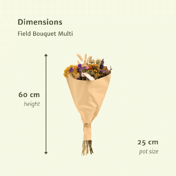 Trockenblumen – Feldblumenstrauß Multi – Bunter Trockenstrauß – ca. Ø25cm ↕60cm – Naturdeko für Innen – Langlebig & Pflegeleicht – Geschenkidee 