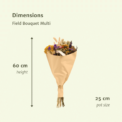 Trockenblumen – Feldblumenstrauß Multi – Bunter Trockenstrauß – ca. Ø25cm ↕60cm – Naturdeko für Innen – Langlebig & Pflegeleicht – Geschenkidee 