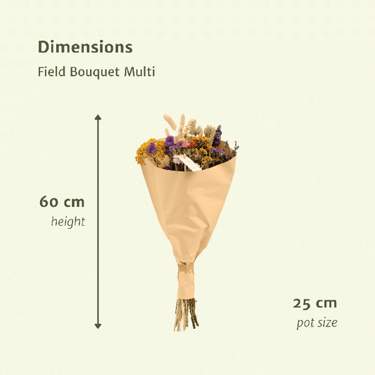Trockenblumen – Feldblumenstrauß Multi – Bunter Trockenstrauß – ca. Ø25cm ↕60cm – Naturdeko für Innen – Langlebig & Pflegeleicht – Geschenkidee 