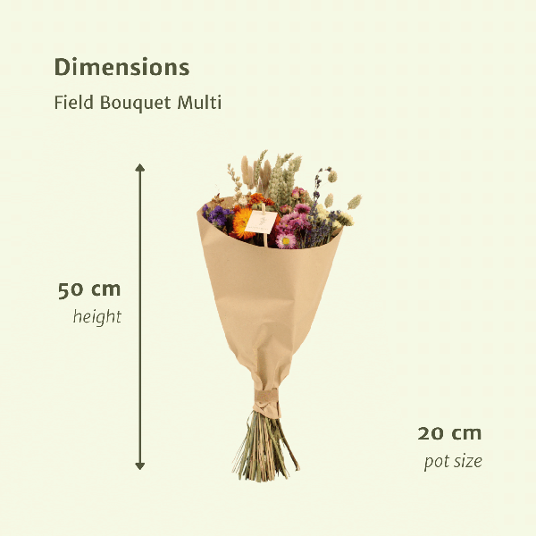 Trockenblumen Feldblumenstrauß Multi – Blumenstrauß – Ø20cm x ↕50cm – Bunte Mischung – Rustikale Deko – Pflegefrei – Für Innen & Außen 