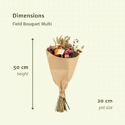Trockenblumen Feldblumenstrauß Multi – Blumenstrauß – Ø20cm x ↕50cm – Bunte Mischung – Rustikale Deko – Pflegefrei – Für Innen & Außen 