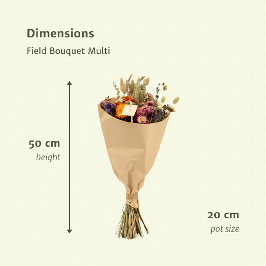 Trockenblumen Feldblumenstrauß Multi – Blumenstrauß – Ø20cm x ↕50cm – Bunte Mischung – Rustikale Deko – Pflegefrei – Für Innen & Außen 
