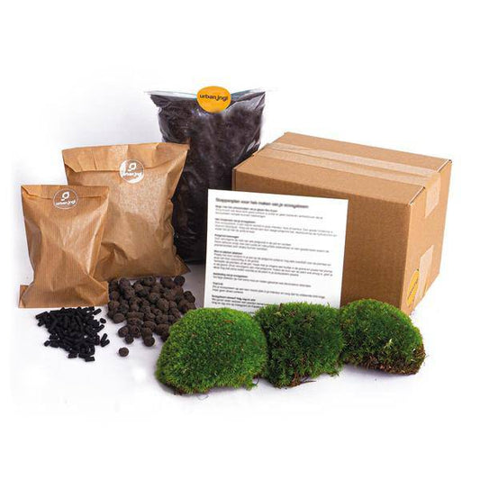 Flaschengarten Bausatz - Nachfüllpackung - Starter Kit - DIY 