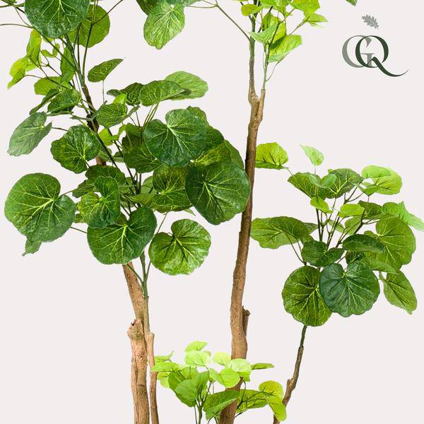 Kunstpflanze - Polyscias - Aralia - 135 cm 