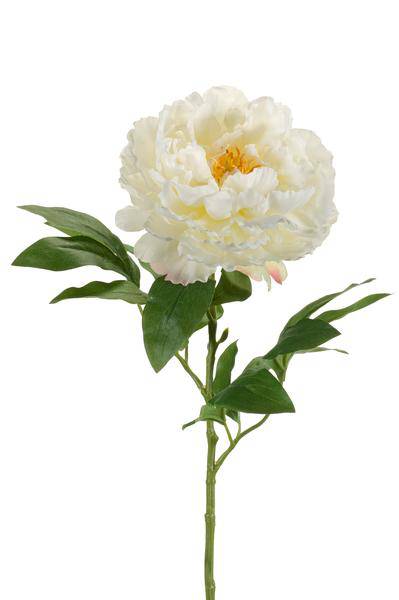 Künstliche Blumen - Blumenstrauß - Solo - Creme - Pfingstrosen - 65cm - 5 Stück 