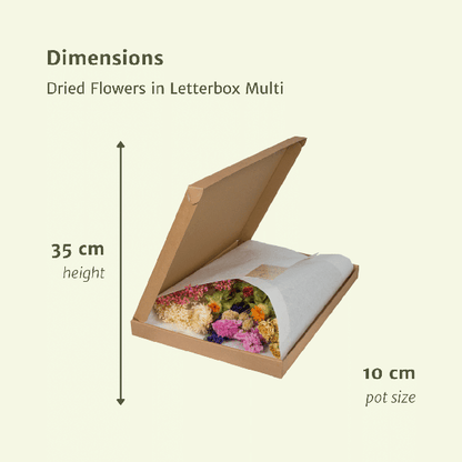 Trockenblumen im Briefkasten – Letterbox Multi – Trockenstrauß in Weiß, Beige & Hellrosa – Elegante Deko – Pflegefrei – Perfekt für Innenräume 