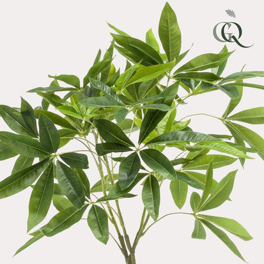 Geldbaum Pachira Aquatica – Künstliche Zimmerpflanze – ↕90 cm – Realistischer Doppelstamm & große glänzende Blätter – Pflegefrei 