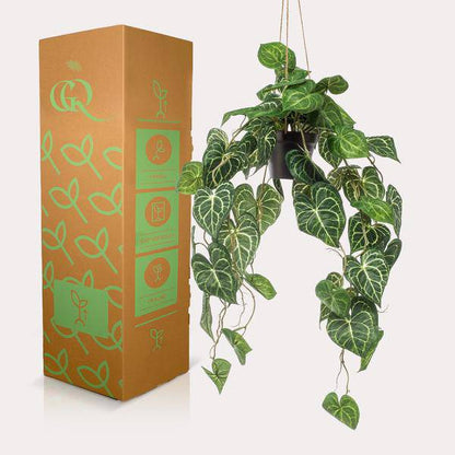 Kunstpflanze - Anthurium Clarinervium - 80 cm 