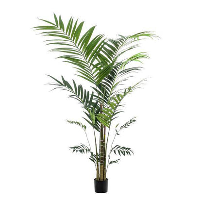 Kentia - Kentiapalme - Kunstpflanze - ↕210cm 