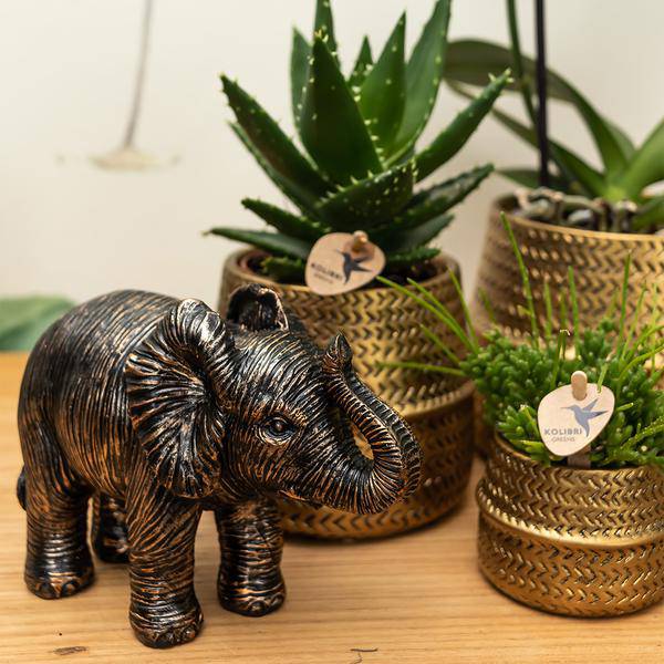Blumentopf Rille – Gold – Ø6cm – Kleiner Keramik-Ziertopf mit Rillenstruktur – Mattes Finish – Mini-Übertopf für Orchideen & Sukkulenten 
