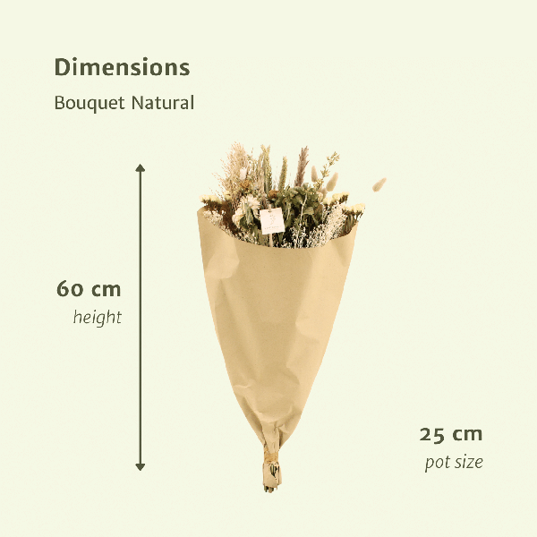 Trockenblumen Feldblumenstrauß – Natürlich – Ø25cm – Höhe 60 cm – Deko für Innenräume – Natürliche Beigetöne & Brauntöne – Nachhaltige Raumdekoration 