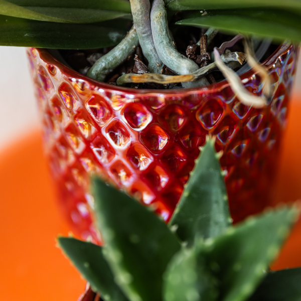 Diamant Perle Dekotopf - Rot - Ø9cm 