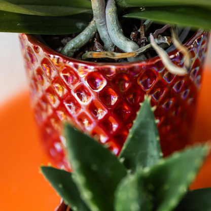 Diamant Perle Dekotopf - Rot - Ø9cm 