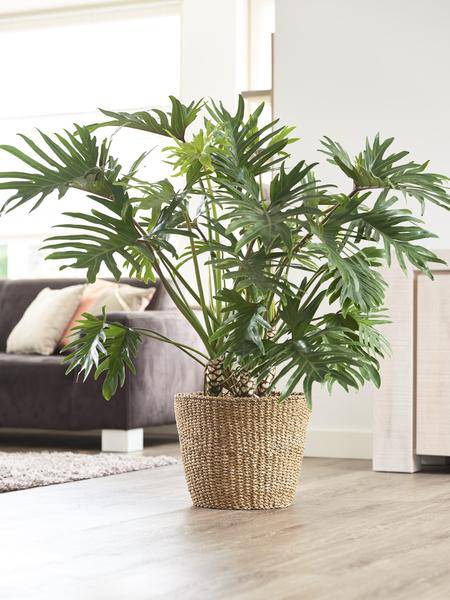Korb - Hellbraun - Jip Natur - XL - H31cm - B37cm 