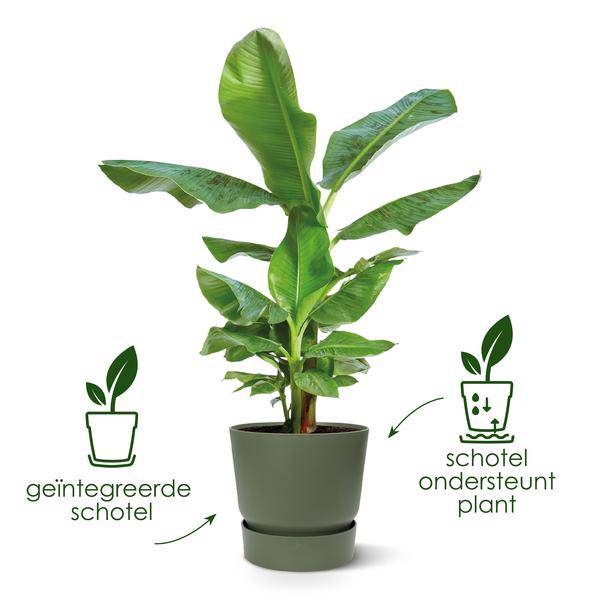 Greenville Pflanztopf Weiß – D24 x H23 – Moderner Blumentopf für Innen & Außen – Stilvolles Pflanzgefäß – Dekorativer Übertopf für Zimmerpflanzen, Balkon & Terrasse 