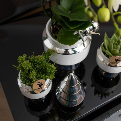 Le Chic Blumentopf Weiß mit silbernen Details – Dekorativer Keramiktopf Ø9cm – Eleganter Ziertopf für Orchideen & Grünpflanzen 