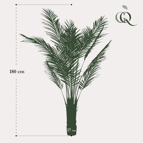Kunstpflanze - Areca Lutescens - Goldpalme - 180 cm 