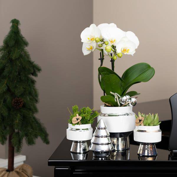 Le Chic Blumentopf Weiß mit silbernen Details – Dekorativer Keramiktopf Ø9cm – Eleganter Ziertopf für Orchideen & Grünpflanzen 