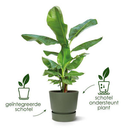 Greenville Pflanztopf Grau – D39 x H37 – Moderner Blumentopf für Innen & Außen – Stilvolles Pflanzgefäß – Eleganter Übertopf für große Zimmer- & Gartenpflanzen 