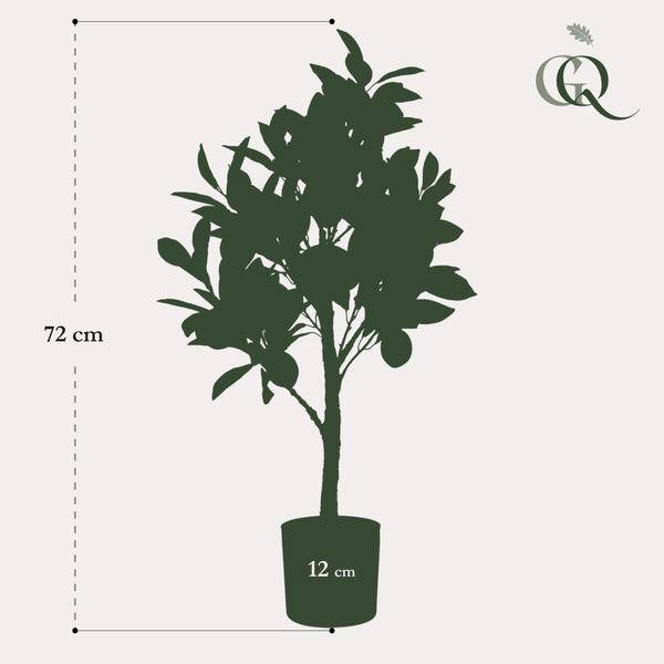 Kunstpflanze - Citrus Limonia - Zitronenbaum - 72 cm 