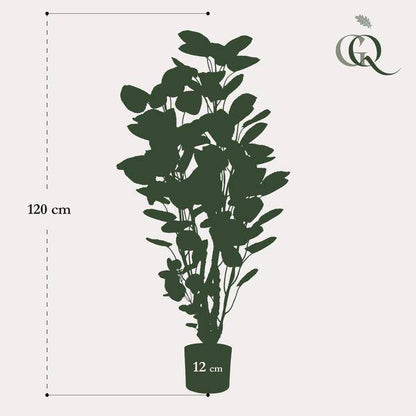 Kunstpflanze - Polyscias - Aralia - 105 cm 