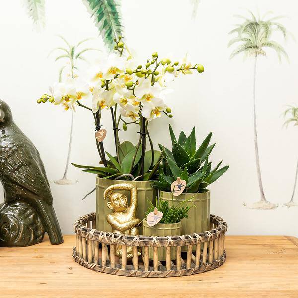 Ornament Dekoskulptur Sitzender Affe – Gold – Handgefertigte Polystone-Figur – 13cm – Verspieltes Dekoaccessoire für Zuhause und Pflanzensets 