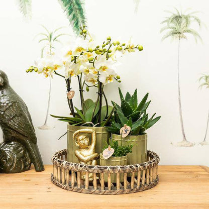 Ornament Dekoskulptur Sitzender Affe – Gold – Handgefertigte Polystone-Figur – 13cm – Verspieltes Dekoaccessoire für Zuhause und Pflanzensets 