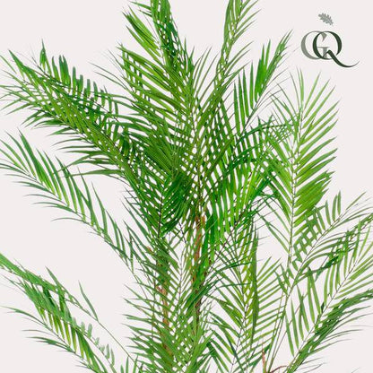 Kunstpflanze - Chamaedorea Elegans - Bergpalme - 120 cm 