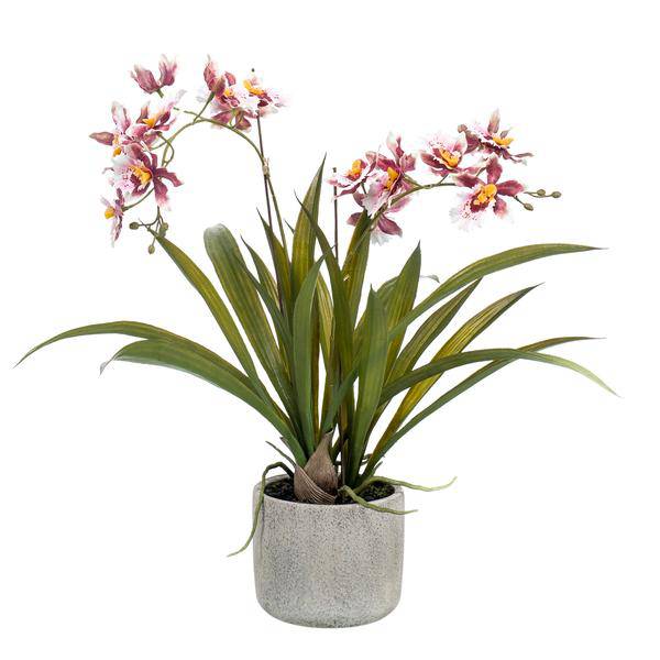 Künstliche Pflanze - Orchidee - Bordeaux - ↨45cm 