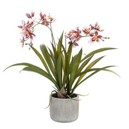 Künstliche Pflanze - Orchidee - Bordeaux - ↨45cm 