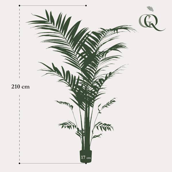 Kentia - Kentiapalme - Kunstpflanze - ↕210cm 