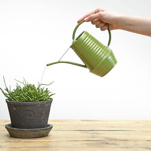 Blumengießkanne Zink – 1  Liter – Grün – Ergonomische Indoor-Gießkanne mit langer Tülle für präzises Gießen 