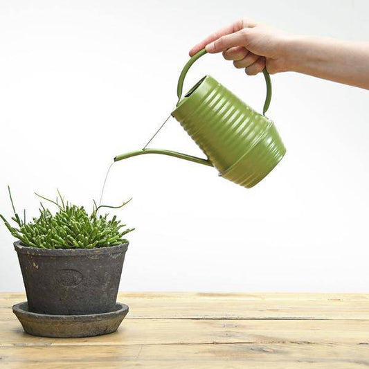 Blumengießkanne Zink – 1  Liter – Grün – Ergonomische Indoor-Gießkanne mit langer Tülle für präzises Gießen 
