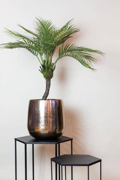 Kunstpflanze - Chamaedorea Elegans - Bergpalme - 85 cm 