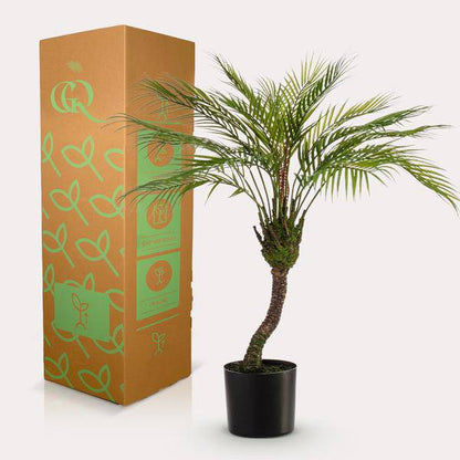 Kunstpflanze - Chamaedorea Elegans - Bergpalme - 85 cm 