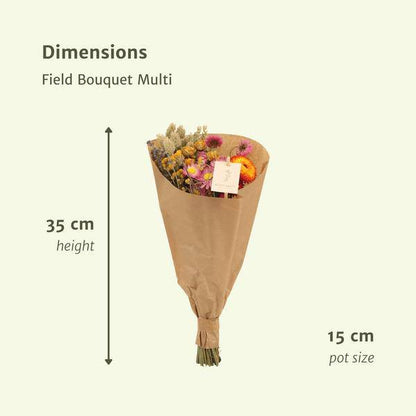 Trockenblumen - Blumenstrauß - Field Bouquet Multi - Trockener Blumenstrauß - 35cm - Ø15cm - 12 Stück 