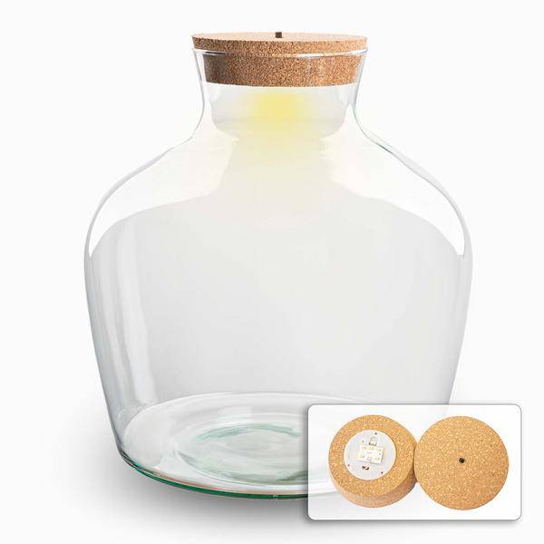 Flaschengarten – Terrarienflasche Fat Joe – geschlossenes Terrarium mit Korkdeckel – H30cm – Klarglas – aus recyceltem Glas – DIY Pflanzengefäß 