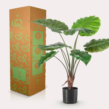 Kunstpflanze - Alocasia - 70 cm 