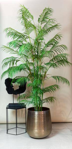 Kunstpflanze - Chamaedorea Elegans - Bergpalme - 180 cm 