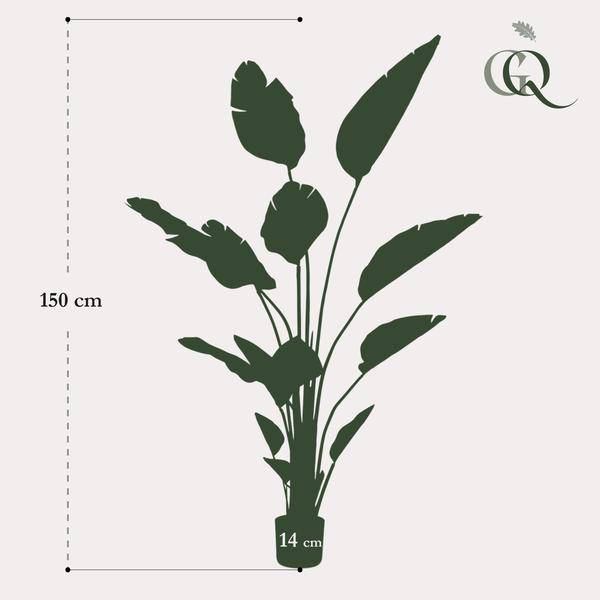 Kunstpflanze - Strelitzia Nicolai - Paradiesvogelblume - 150 cm 