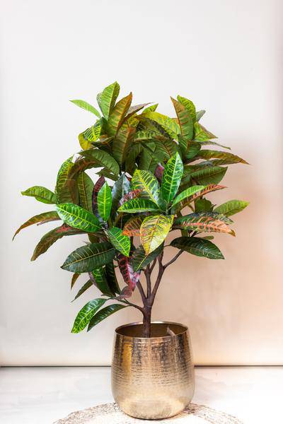 Kunstpflanze - Croton codiaeum - Wunderstrauch - 120 cm 