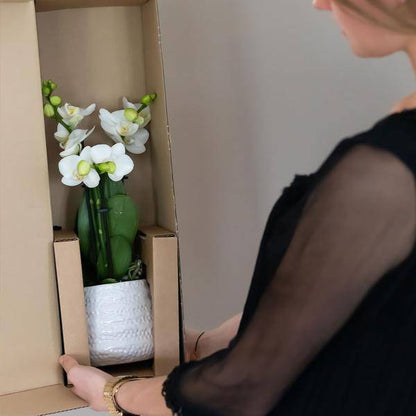 Weiße Phalaenopsis-Orchidee Amabilis + Diamant-Dekotopf gold – Ø9cm – 40cm hoch – Blühende Zimmerpflanze im eleganten Metallic-Topf 