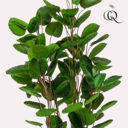 Kunstpflanze - Polyscias - Aralia - 105 cm 