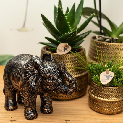 Blumentopf Groove – Gold – Ø9cm – Runder Keramik-Ziertopf mit Rillenstruktur – Mattes Finish – Dekotopf für Orchideen & Grünpflanzen – Für Wohnzimmer & Büro 
