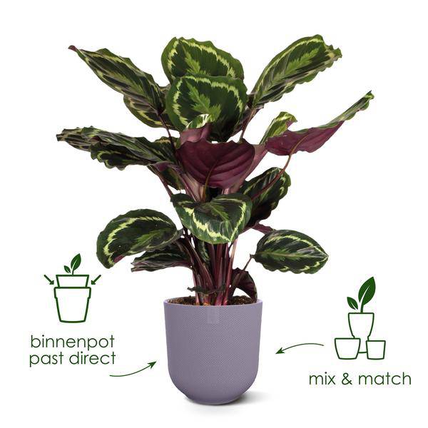 Jazz Pflanztopf Rot – D14 x H13 – Moderner Blumentopf für Innen & Außen – Eleganter runder Pflanzkübel aus Kunststoff – Dekorativer Übertopf für Zimmer- & Gartenpflanzen 