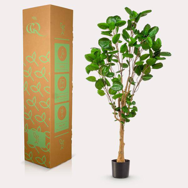 Künstliche Pflanze - Polyscias - Aralia - 150 cm 