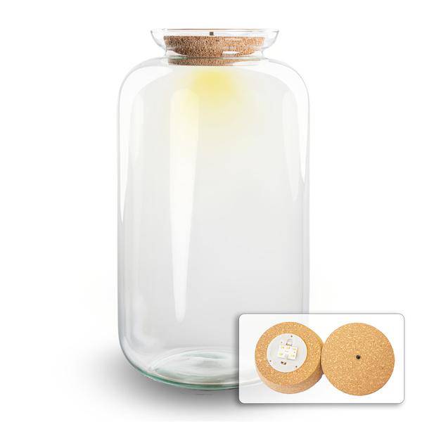 Flaschengarten - Terrarium Flasche + LED in Kork - Sven XL - ↑43cm – Recyceltes Glas – Geschlossenes Terrarium – Mit Beleuchtung 