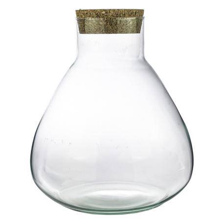 Terrarium Flasche Sammie – Glasgefäß für geschlossenes Terrarium oder Flaschengarten – dekoratives Pflanzgefäß ↕26,5cm 